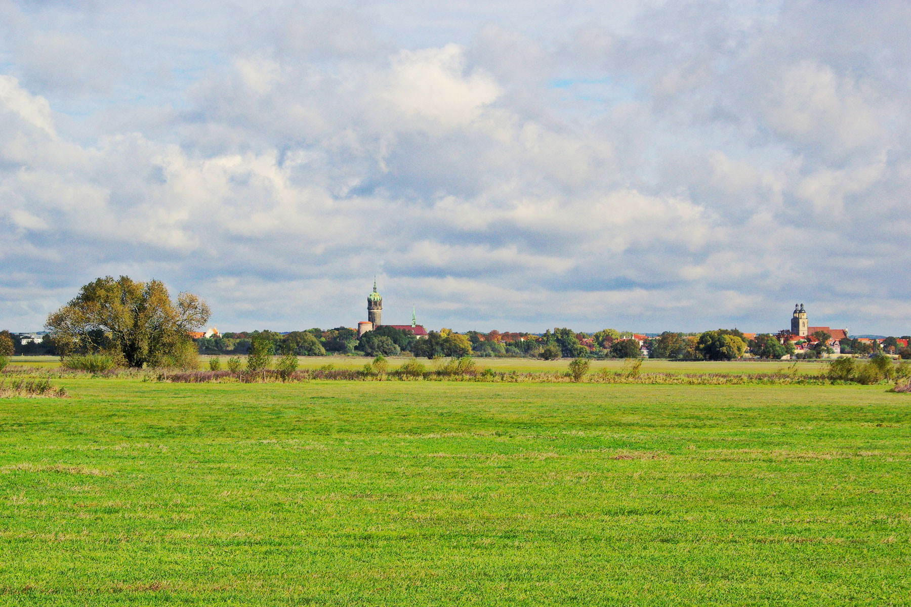 Natur pur | Elbauen